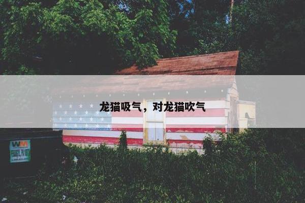 龙猫吸气，对龙猫吹气