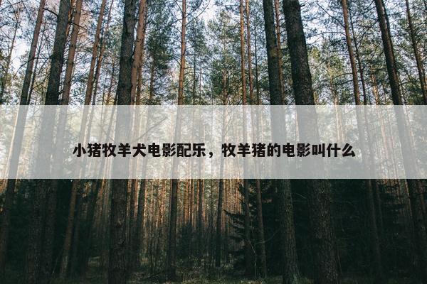 小猪牧羊犬电影配乐，牧羊猪的电影叫什么