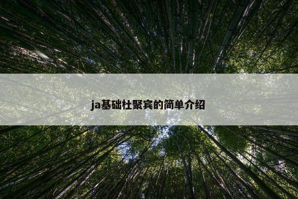 ja基础杜聚宾的简单介绍