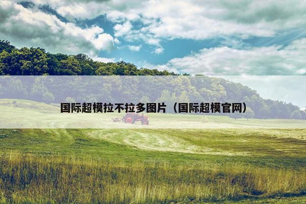 国际超模拉不拉多图片（国际超模官网）