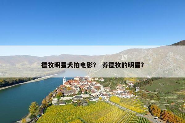 德牧明星犬拍电影? 养德牧的明星?
