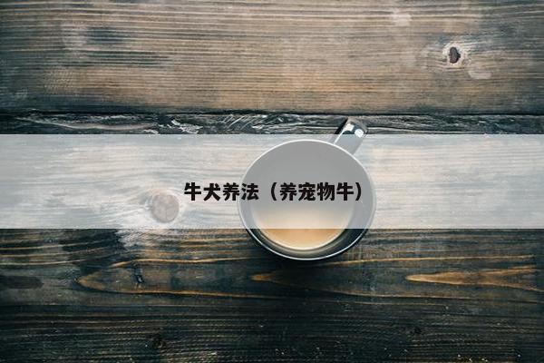 牛犬养法(养宠物牛)