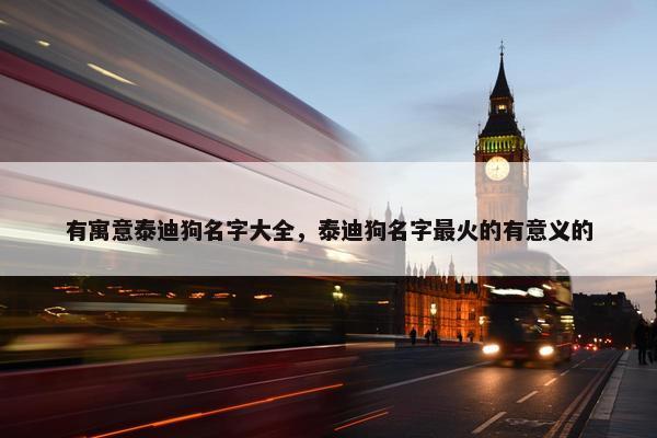 有寓意泰迪狗名字大全，泰迪狗名字最火的有意义的