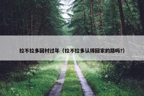 拉不拉多回村过年（拉不拉多认得回家的路吗?）