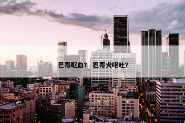 巴哥呕血？ 巴哥犬呕吐？