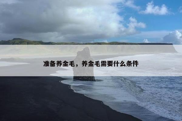 准备养金毛，养金毛需要什么条件