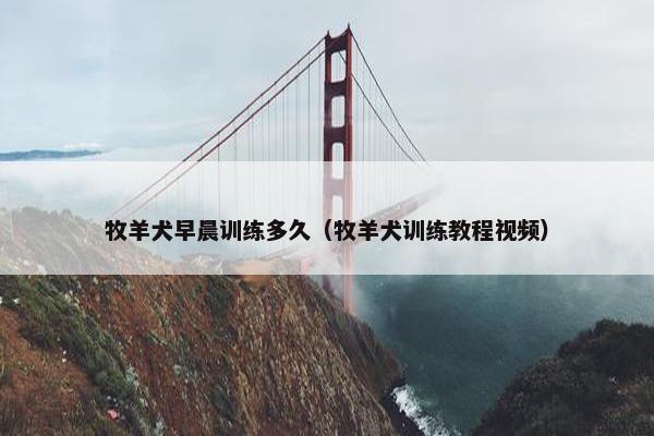 牧羊犬早晨训练多久（牧羊犬训练教程视频）