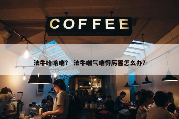法牛哈哈喘? 法牛喘气喘得厉害怎么办?