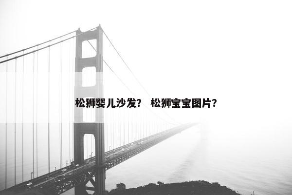 松狮婴儿沙发？ 松狮宝宝图片？