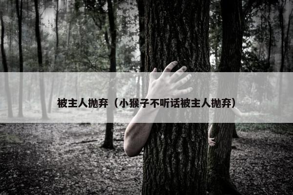 被主人抛弃(小猴子不听话被主人抛弃)