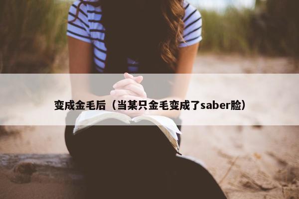 变成金毛后（当某只金毛变成了saber脸）