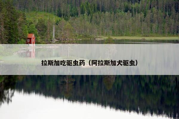 拉斯加吃驱虫药(阿拉斯加犬驱虫)