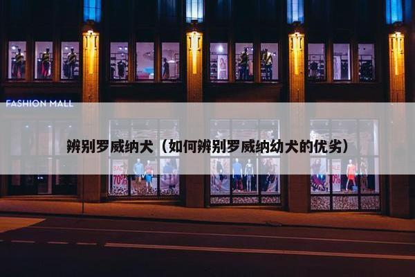 辨别罗威纳犬（如何辨别罗威纳幼犬的优劣）