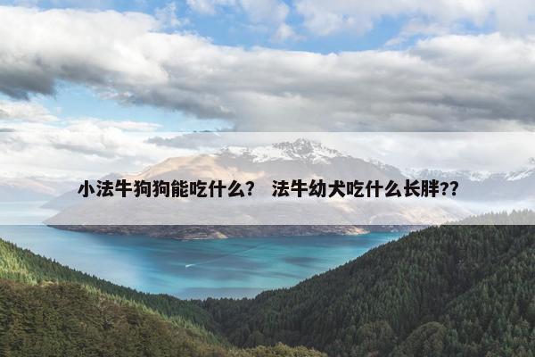小法牛狗狗能吃什么? 法牛幼犬吃什么长胖??