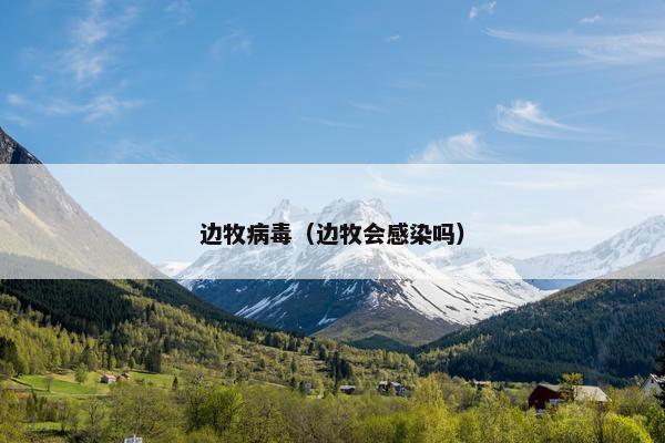 边牧病毒(边牧会感染吗)