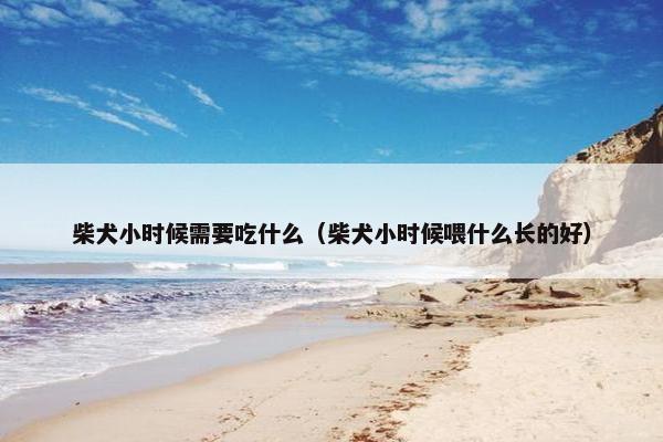 柴犬小时候需要吃什么（柴犬小时候喂什么长的好）