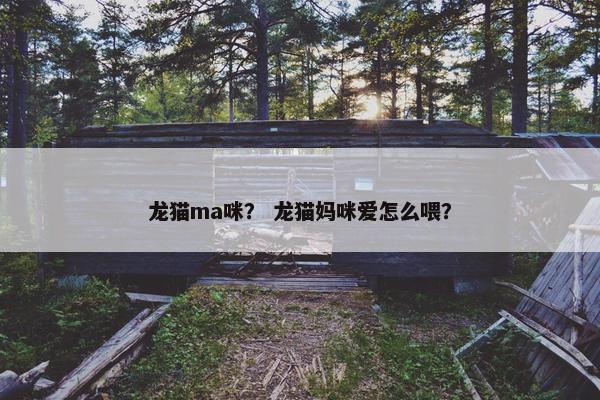 龙猫ma咪？ 龙猫妈咪爱怎么喂？
