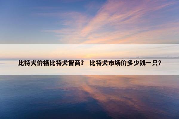 比特犬价格比特犬智商？ 比特犬市场价多少钱一只？