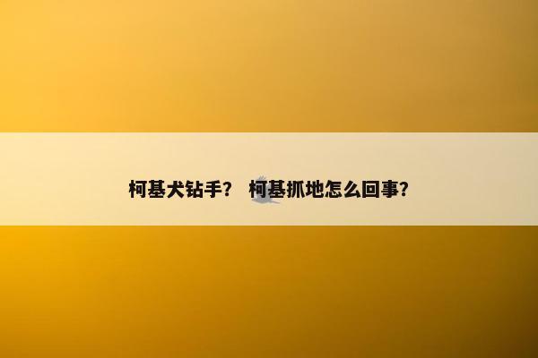 柯基犬钻手? 柯基抓地怎么回事?