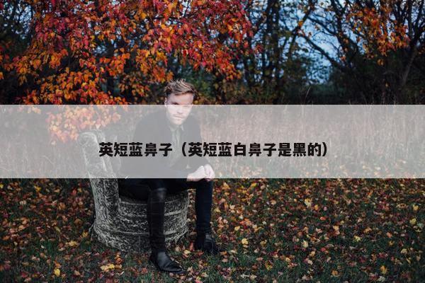 英短蓝鼻子（英短蓝白鼻子是黑的）