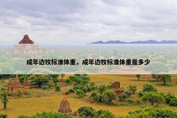 成年边牧标准体重，成年边牧标准体重是多少