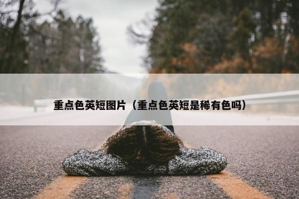 重点色英短图片(重点色英短是稀有色吗)
