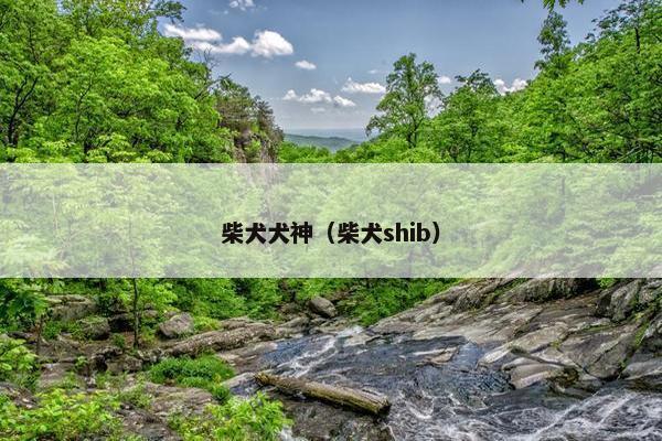 柴犬犬神（柴犬shib）