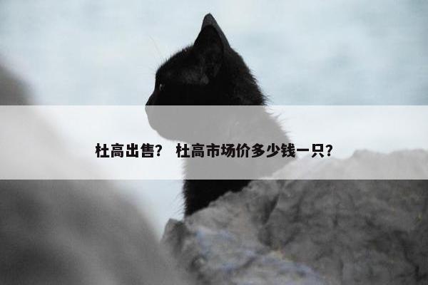 阿根廷 第9页