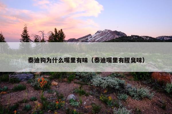 泰迪狗为什么嘴里有味（泰迪嘴里有腥臭味）