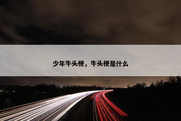 少年牛头梗，牛头梗是什么
