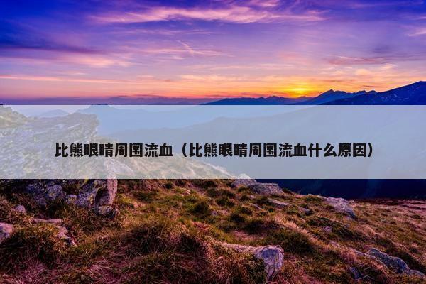 比熊眼睛周围流血（比熊眼睛周围流血什么原因）