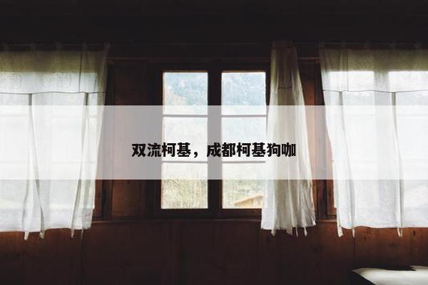 双流柯基，成都柯基狗咖