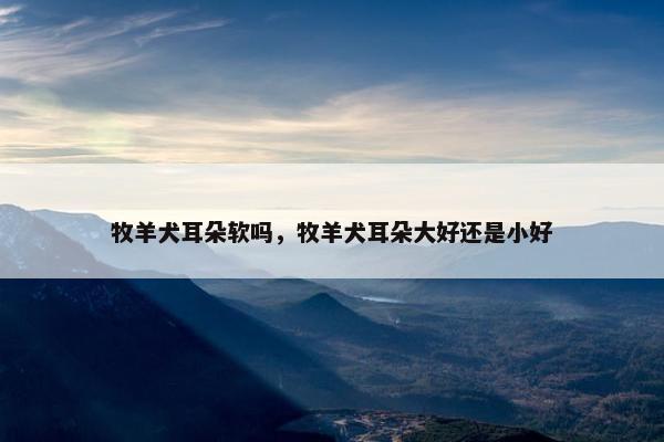 牧羊犬耳朵软吗，牧羊犬耳朵大好还是小好