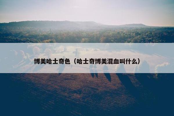 博美哈士奇色(哈士奇博美混血叫什么)