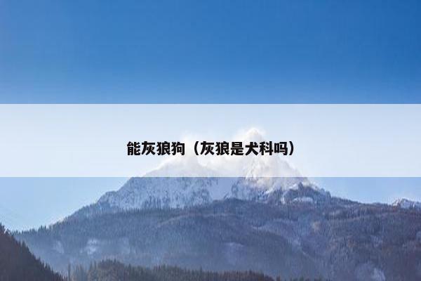 能灰狼狗（灰狼是犬科吗）