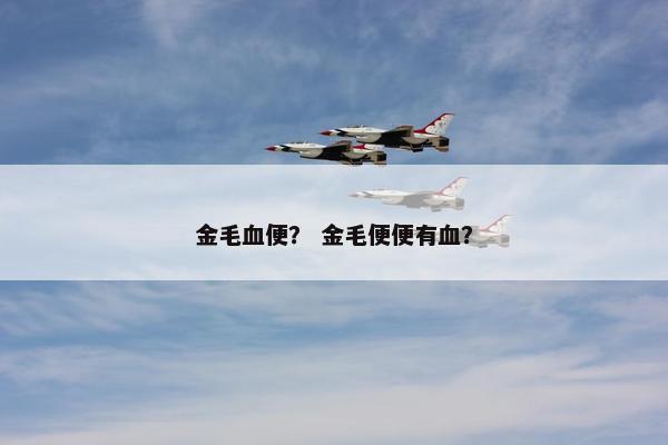 金毛血便？ 金毛便便有血？