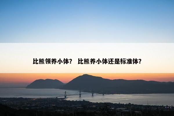 比熊领养小体? 比熊养小体还是标准体?