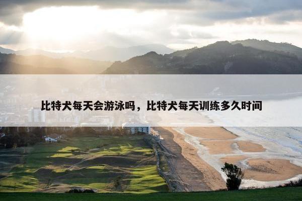 比特犬每天会游泳吗,比特犬每天训练多久时间