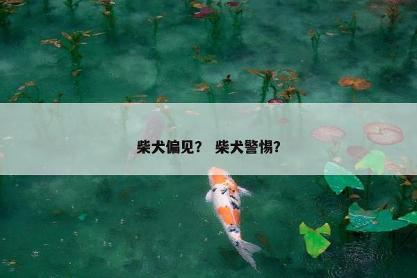 柴犬偏见? 柴犬警惕?