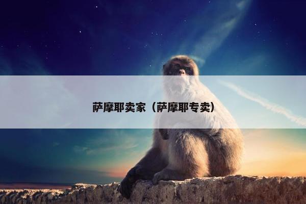 萨摩耶卖家（萨摩耶专卖）