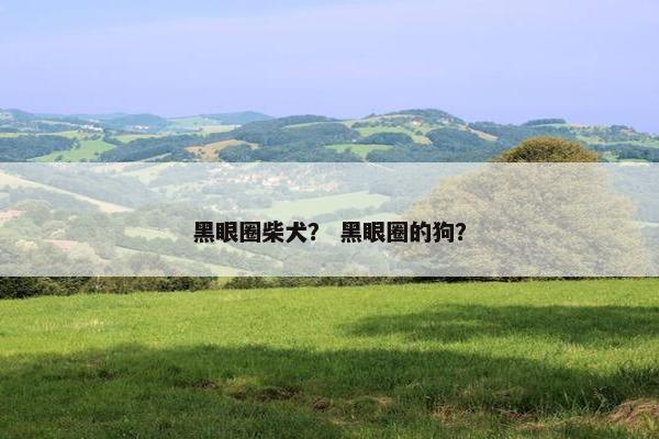 黑眼圈柴犬？ 黑眼圈的狗？