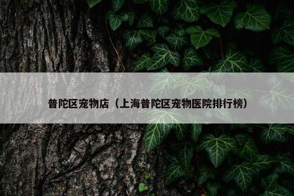 普陀区宠物店（上海普陀区宠物医院排行榜）