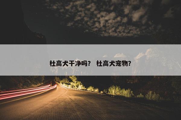 杜高犬干净吗? 杜高犬宠物?