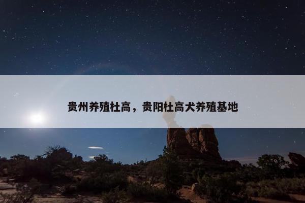 贵州养殖杜高,贵阳杜高犬养殖基地