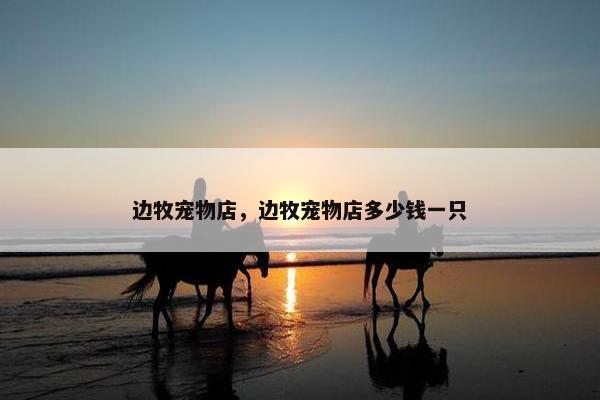 边牧宠物店，边牧宠物店多少钱一只