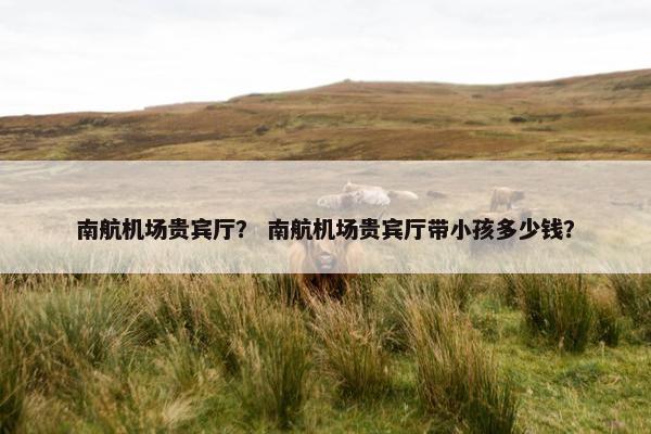 南航机场贵宾厅? 南航机场贵宾厅带小孩多少钱?