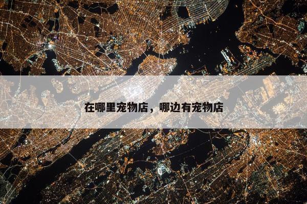 在哪里宠物店，哪边有宠物店