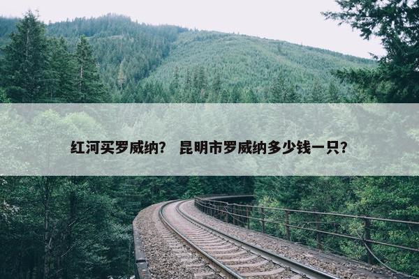 红河买罗威纳? 昆明市罗威纳多少钱一只?