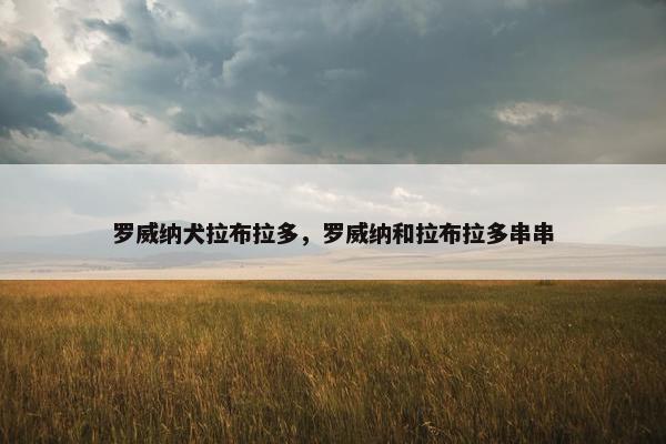 罗威纳犬拉布拉多，罗威纳和拉布拉多串串
