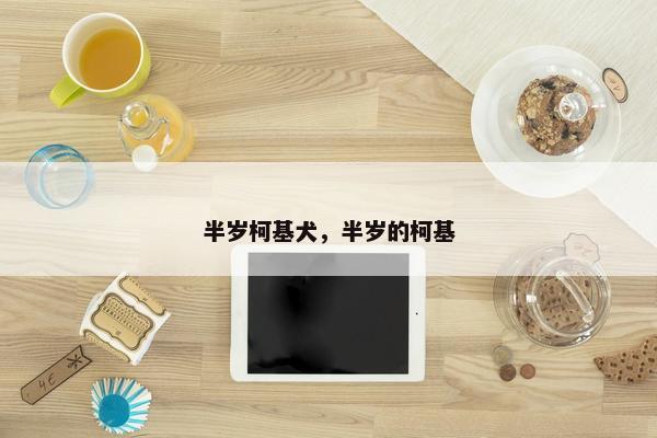 一剂